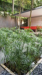 Vida (D9), Apartment #174300402